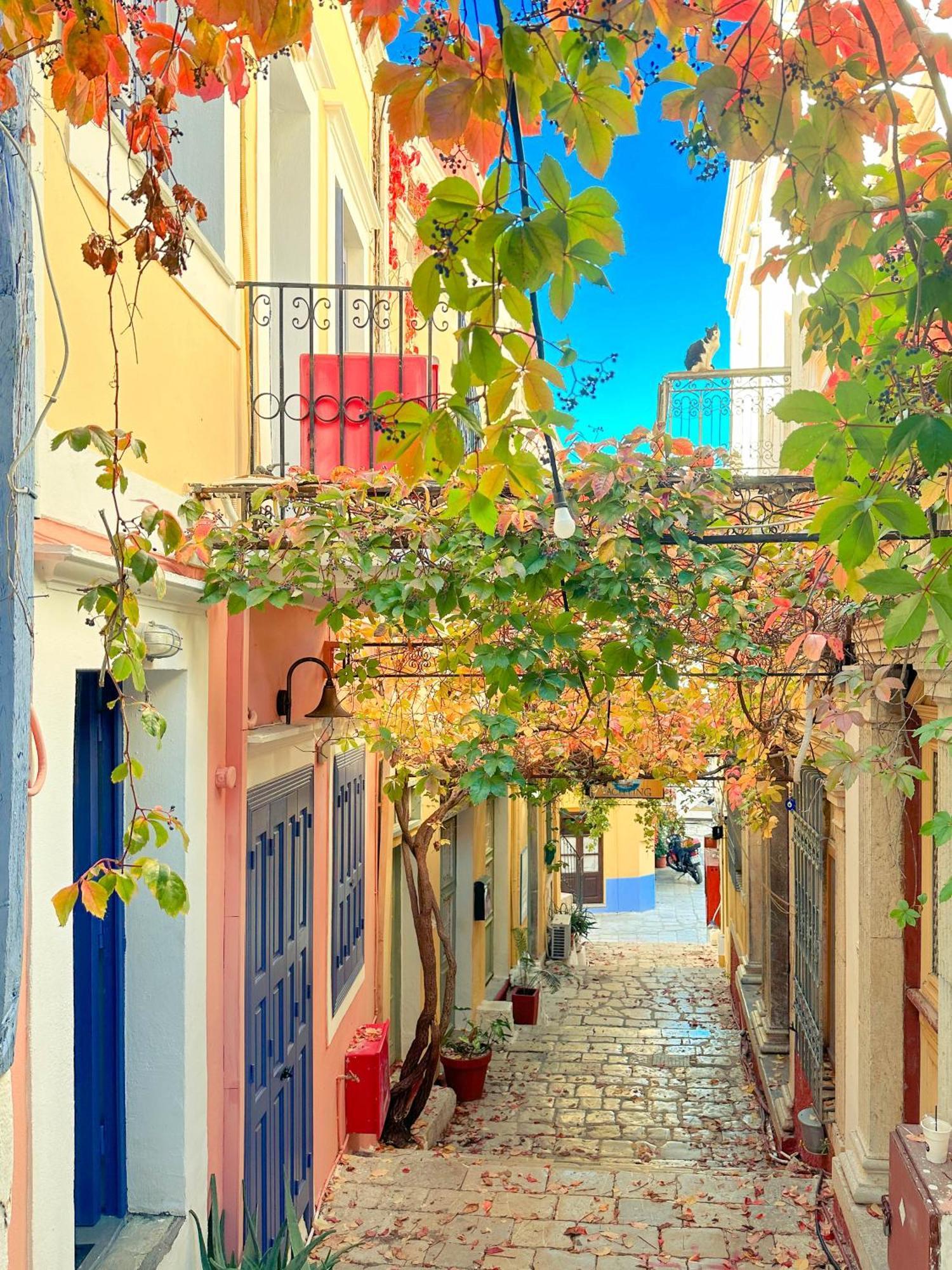 Ferienwohnung Kali Strata 2 - Downtown Symi Exterior foto
